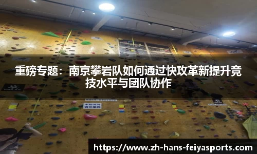 重磅专题:南京攀岩队如何通过快攻革新提升竞技水平与团队协作